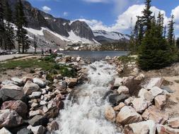 Stream Waterfall