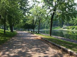 Montreal Trees Park