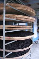 coffee beans on the shelf