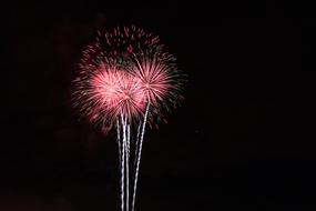 Fireworks Dreams New Year