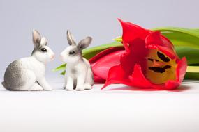 Easter Bunny and Tulip Spring