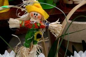 Scarecrow dolls and Flower