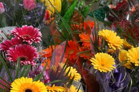 Flowers Coloring