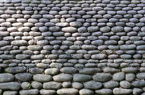 Pierre Roller Wall