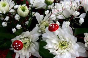 White and red Flowers and Mushroom