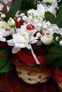 white chrysanthemum flowers in ornamental baskets