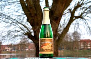 Bottle Champagne Empty
