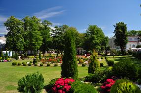 Garden with flowering trees