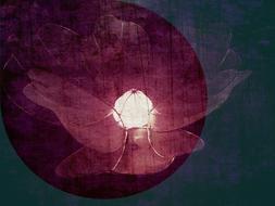 purple dutch flower figure