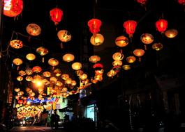 Lantern Festival Flower