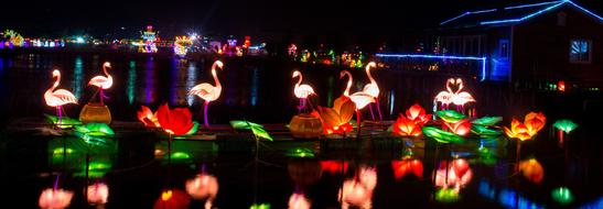 Lantern Festival Night