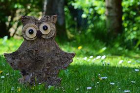 Owl Cute Funny