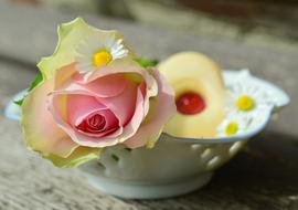 Rose Blossom plate