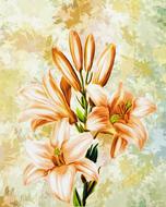orange color lily flowers, digital art