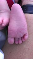 Baby Life Small