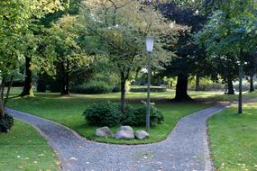 Way Park Trees