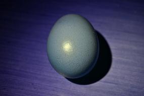 Egg Still Life