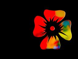 colorful abstract flower at black background