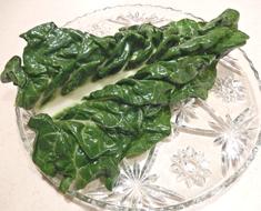 Swiss Chard Garden Fresh Dinner