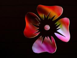 flower contour outlines black background