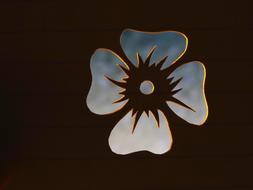 flower light blue black background