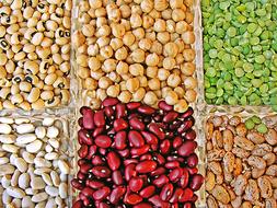 Legumes Power Chickpeas