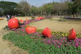 Tainan&#39;S Flowers Offering Tomato
