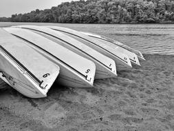 Boats Lake