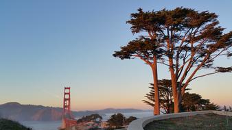 Golden Gate Beautiful San