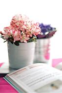 Azalea Pot and Book