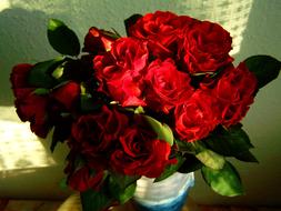 Red Rose Bouquet Women'S
