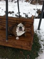 Swing Winter Weather