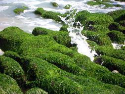 Green Stone Trough Chao Gou Sea è