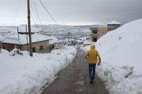 Snow Golan