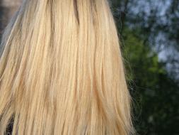 Hair Blonde Bright