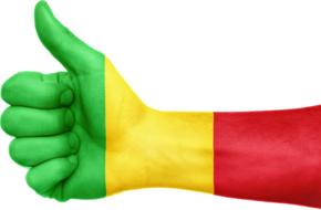 mali flag hand national fingers