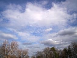 Trees Clouds