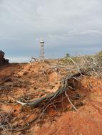 Brushwood Desert Tower