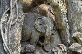 Wood Carving Elephant Teak