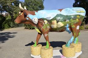 Cow Cheese Cantal