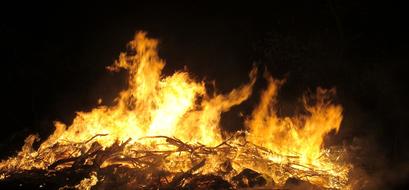 Fire Burn Flame