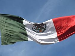 Mexico Flag Mexican Coat Of