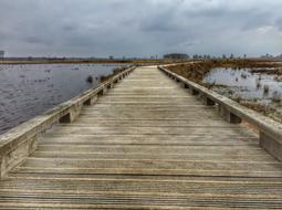 Drenthe Dwingelderveld