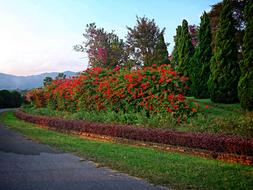 Chiang Rai Thailand