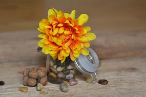 Flower Art Fabric