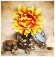 Flower Art Fabric