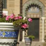 Flower Ceramic