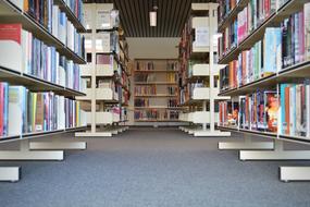 Cabinets with books in the library