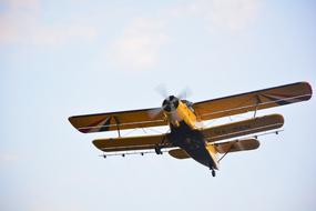 Flying Spraying Flight Mosquito