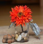 orange flower in a glass jar